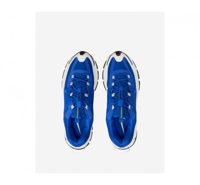 Кроссовки Nike Zoom Vomero 5 Roam Racer Blue FV2295-400