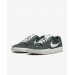 Кроссовки Nike Sb Force 58 DV5477-301