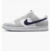 Кроссовки Nike FJ4227-001