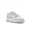 Кроссовки Nike Dunk Low Next Nature DD1873-400