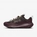 Кроссовки Nike Acg Mountainfly Low 2 Gore-Tex "Velvet Brown/Burgundy Crush" HF6245-200