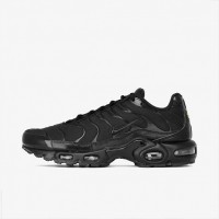 Кроссовки Nike Air Max Plus 604133-050