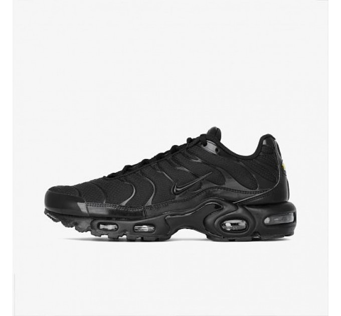 Кроссовки Nike Air Max Plus 604133-050