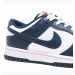 Кроссовки Nike Dunk Low Retro Valerian Blue Blue DD1391-400