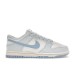 Кроссовки Nike Dunk Low Next Nature DD1873-400