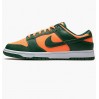 Nike Dunk Low DD1391-300