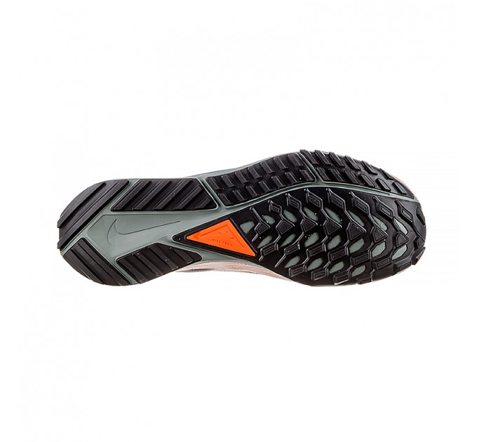 Кросівки Nike React Pegasus Trail 4 Gtx DJ7926-006