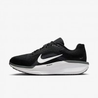 Кроссовки Nike Air Winflo 11 FJ9509-001