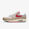 Кроссовки Nike Air Max 1 Beige/Grey HF4312-100