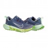 Кросівки Nike Juniper Trail 2 Gtx FB2067-403