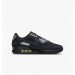 Кросівки Nike Air Max 90 FQ2377-001