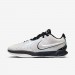 Кроссовки Nike Lebron Xxi HF5841-100