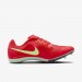 Кроссовки Nike Zoom Rival Multi FZ9664-600