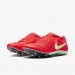 Кроссовки Nike Zoom Rival Multi FZ9664-600