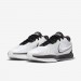 Кроссовки Nike Lebron Xxi HF5841-100