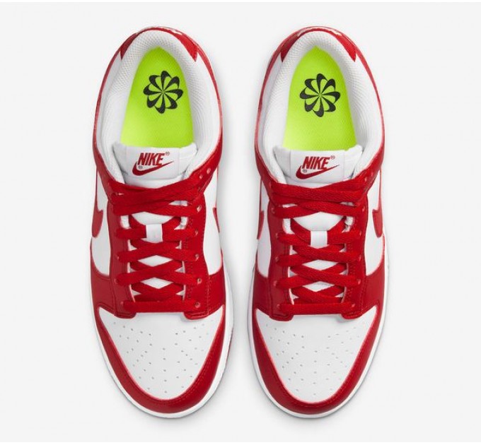 Кроссовки Nike Dunk Low Next Nature DN1431-101
