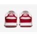 Кроссовки Nike Dunk Low Next Nature DN1431-101