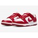 Кроссовки Nike Dunk Low Next Nature DN1431-101
