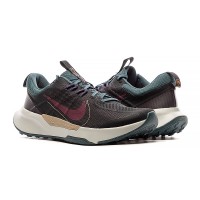 Кроссовки Nike Juniper Trail 2 Nn DM0822-006