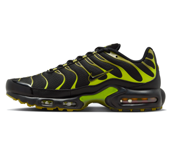 Кроссовки Nike Air Max Plus Black DM0032-010