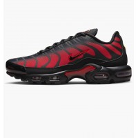 Кроссовки Nike Air Max Plus DZ4507-600