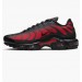 Кроссовки Nike Air Max Plus DZ4507-600