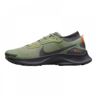 Кроссовки Nike Pegasus Trail 3 Gore Tex Green Black DO6728-300