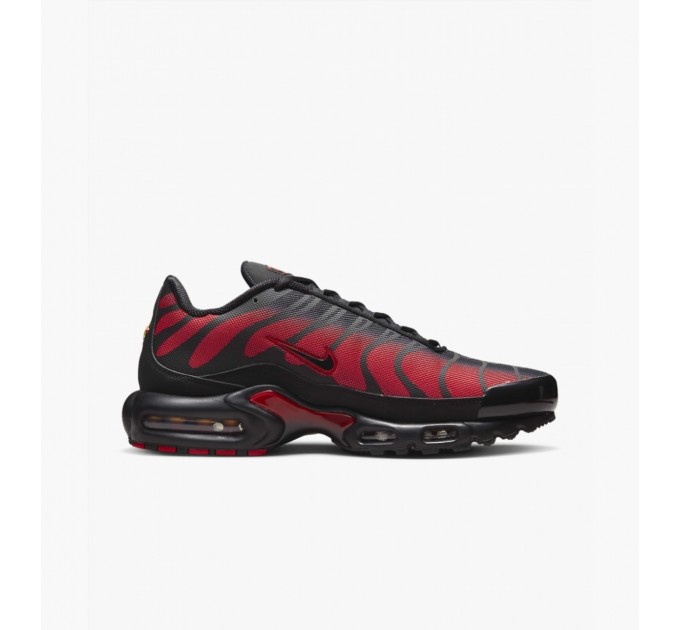 Кроссовки Nike Air Max Plus DZ4507-600