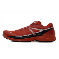 Кроссовки Salomon S-Lab Wings 378464