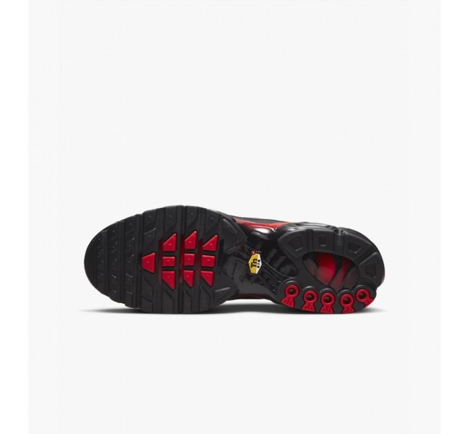 Кроссовки Nike Air Max Plus DZ4507-600