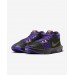 Кросівки Nike Lebron Witness Viii FB2239-001