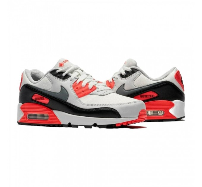 Кроссовки Nike Air Max 90 Gtx FD5810-101