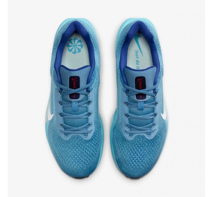 Кроссовки Nike Air Winflo 11 FJ9509-401