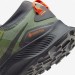 Кроссовки Nike Pegasus Trail 3 Gore Tex Green Black DO6728-300