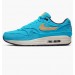 Кроссовки Nike Air Max 1 Corduroy Baltic Blue FB8915-400