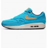 Кроссовки Nike Air Max 1 Corduroy Baltic Blue FB8915-400