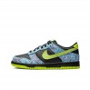 Кросівки Nike Dunk Low Se DV1694-900