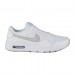 Кросівки Nike Air Max Sc CW4554-100