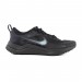 Кросівки Nike Downshifter 12 Nn DM4194-002