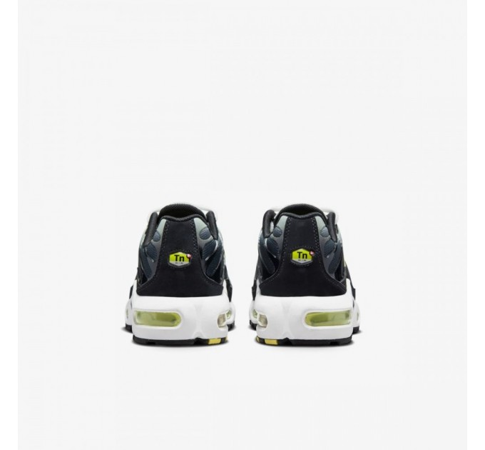 Кроссовки Nike Air Max Plus (Gs) CD0609-022
