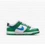 Кроссовки Nike Dunk Low Gs FZ4357-300