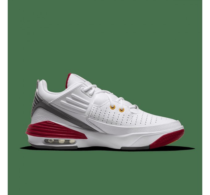 Кроссовки мужские Jordan Max Aura 5 (DZ4353-160)