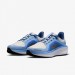 Кроссовки Nike W Air Winflo 11 Gtx FQ1359-002