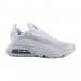 Кроссовки Nike Air Max 2090