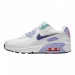 Кроссовки Nike Air Max 90 Se White Dark Purple Dust (Gs) CZ4500-100