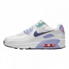 Кроссовки Nike Air Max 90 Se White Dark Purple Dust (Gs) CZ4500-100