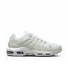 Кроссовки мужские Nike Air Max Terrascape Plus (DQ3977-100)
