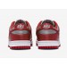 Кроссовки Nike W Du Low Ess S R DX5931-001
