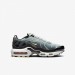 Кроссовки Nike Air Max Plus (Gs) CD0609-022