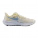 Кросівки Nike Wmns Nike Air Zoom Pegasus 39 FD0796-100
